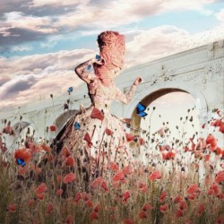 All she wanted was to dance with butterflies 